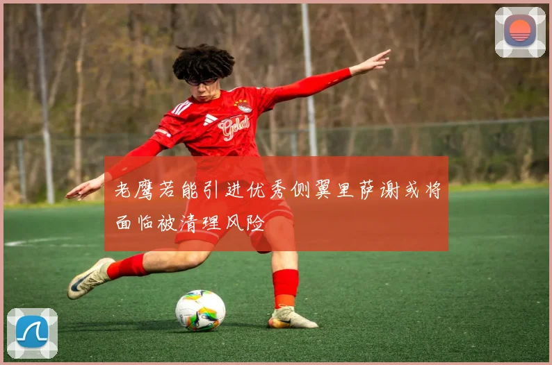 老鹰若能引进优秀侧翼里萨谢或将面临被清理风险