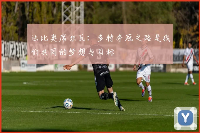 法比奥席尔瓦：多特夺冠之路是我们共同的梦想与目标
